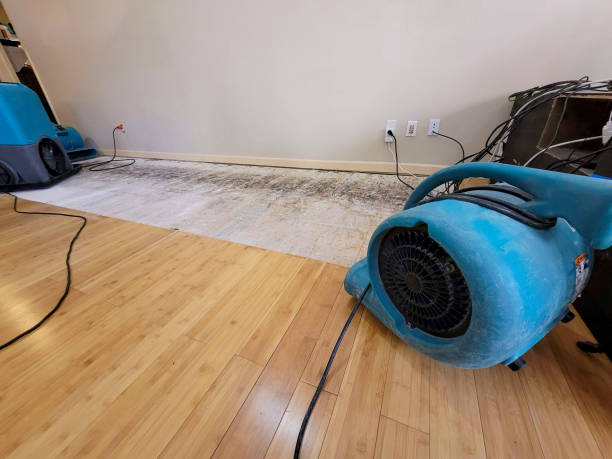 Professional Basement Flood Cleanup technician working in Hensonville, NY